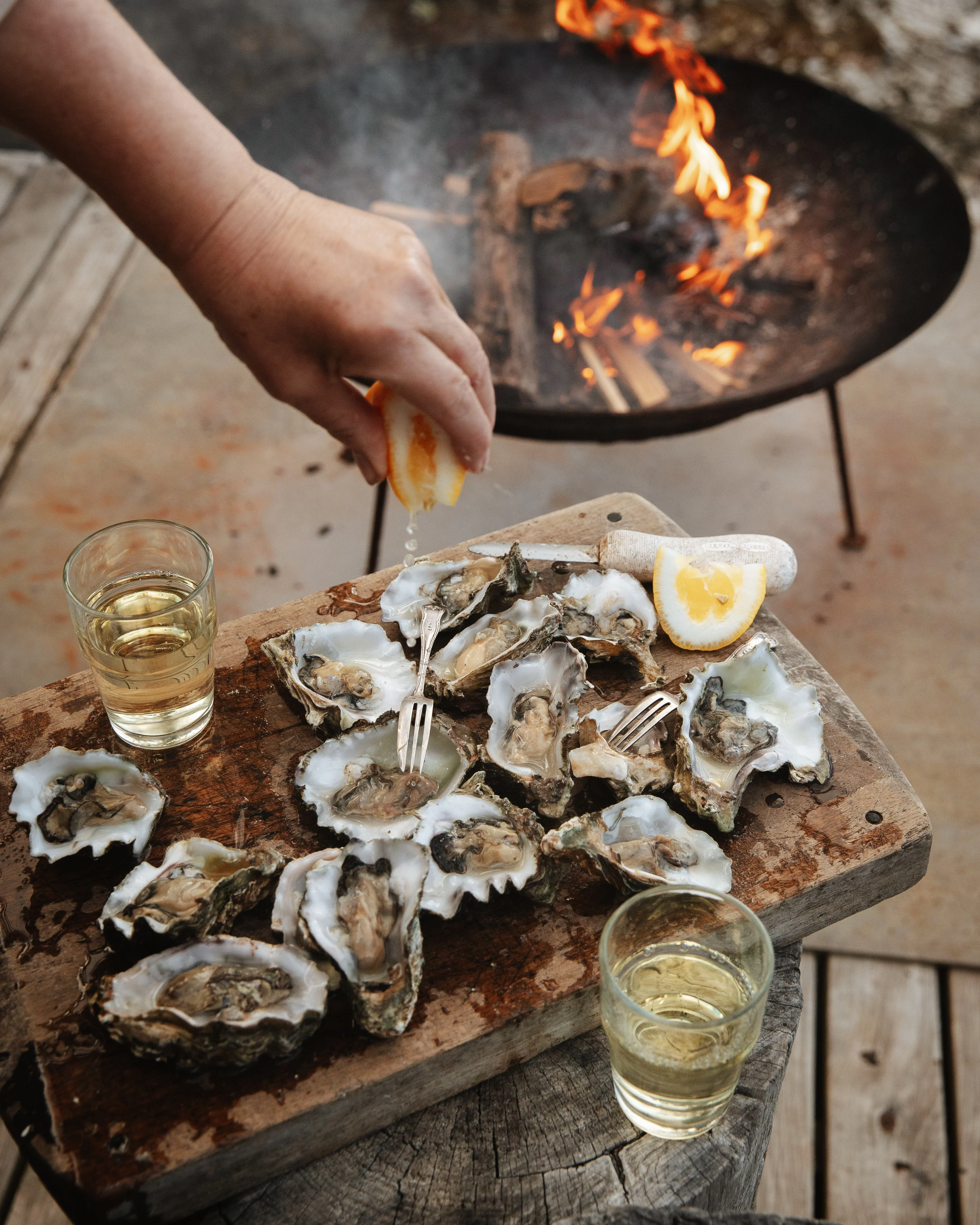 Freshly shucked oysters with lemon and white wine on Satellite Island Tasmania