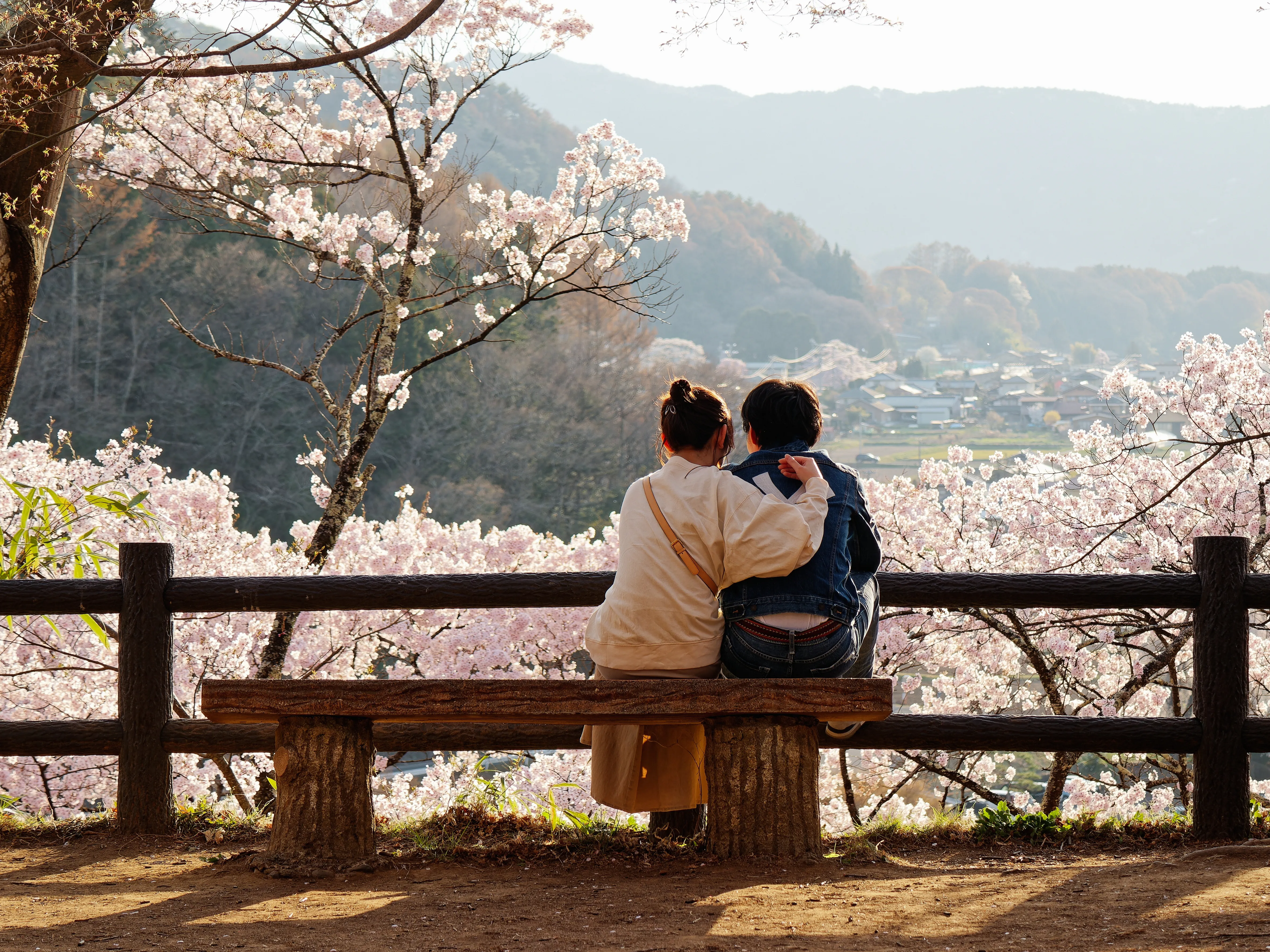 Travellers sitting on a bench overlooking cherry blossom trees and a Japanese countryside landscape.