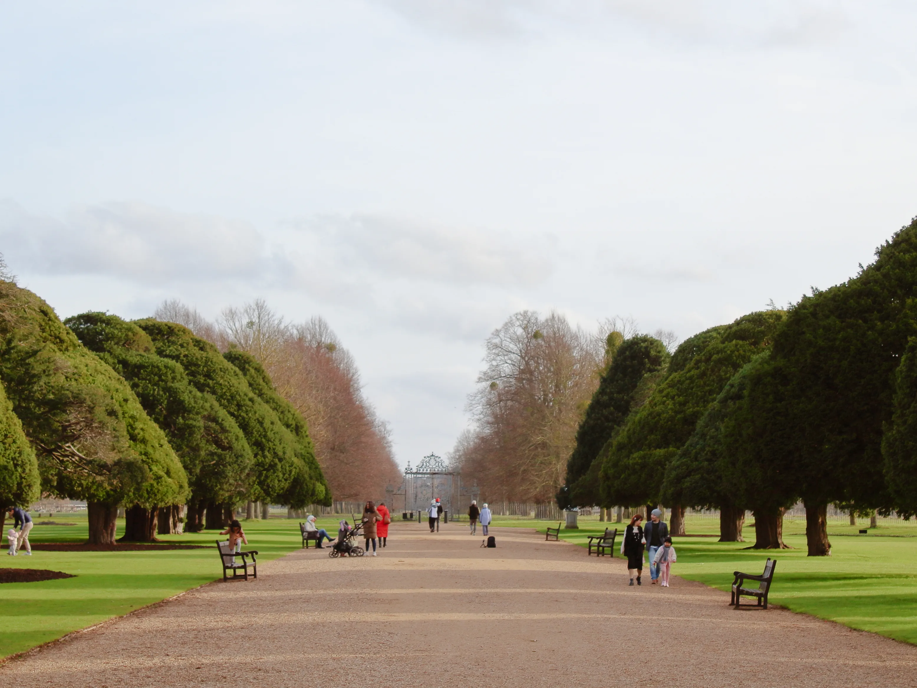 Tree-lined walkway in a landscaped English park with visitors and benches, a relaxing countryside day trip from London.