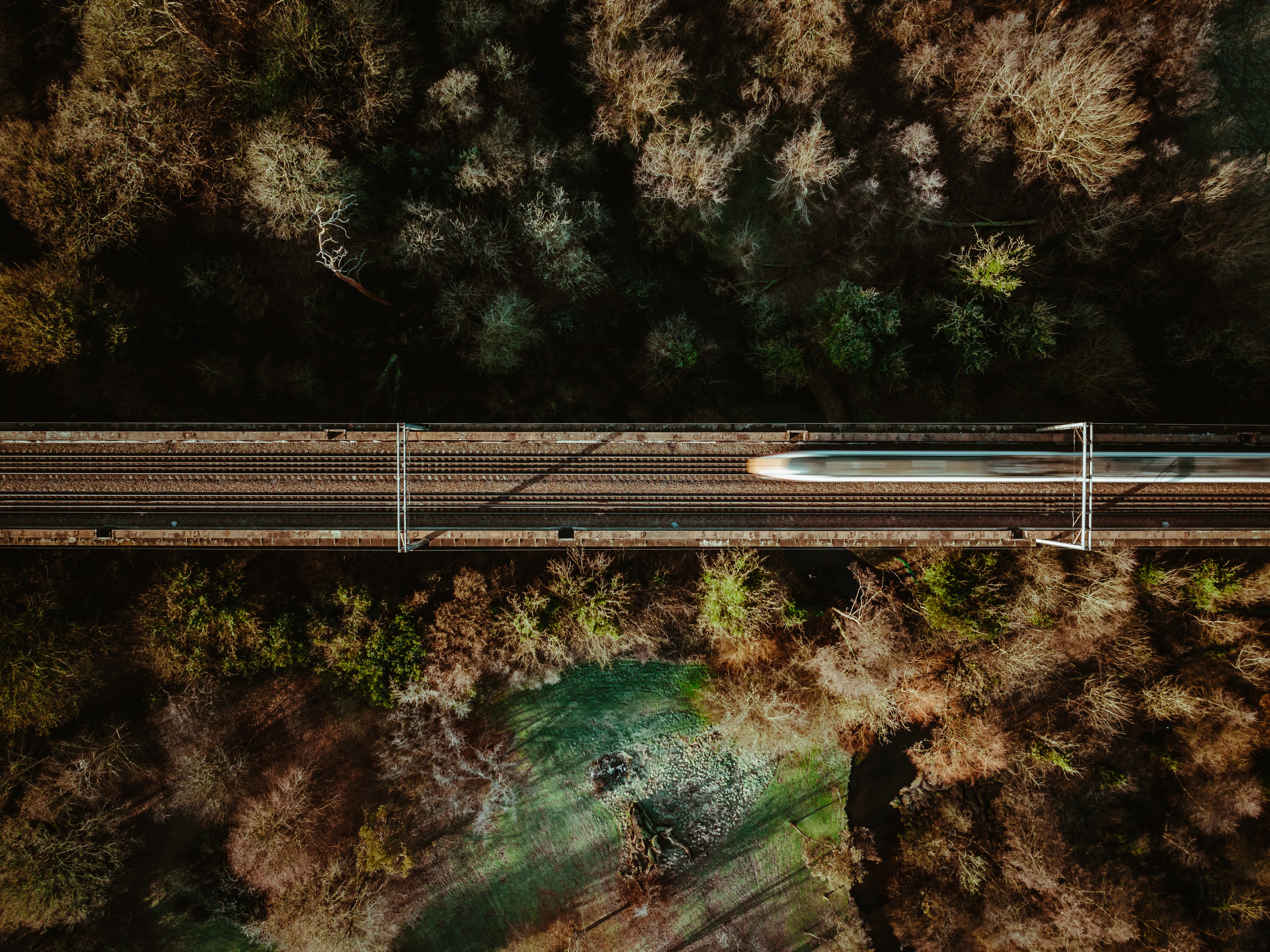 Aerial view of a train travelling through a forest landscape, highlighting scenic transport on day trips from London.