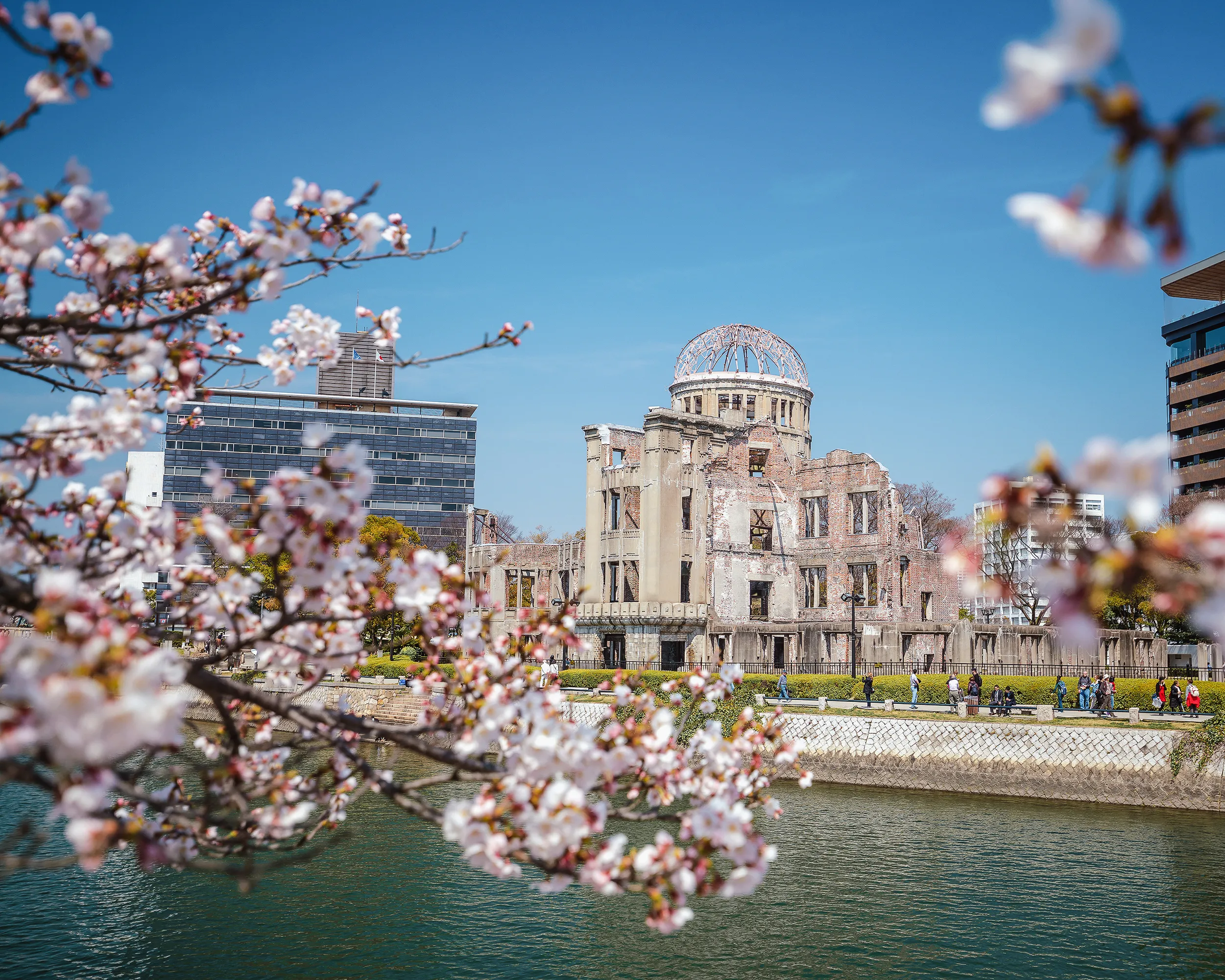 Hiroshima Peace Memorial framed by cherry blossoms beside the river in Japan during spring.