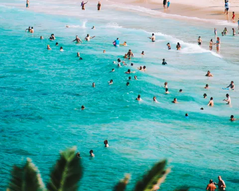A bustling Bondi Beach packed with a large crowd, featuring sunbathers, surfers, and families enjoying the seaside.