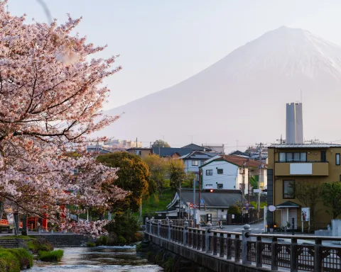 Mount Fuji behind cherry blossoms and a riverside town in Japan during spring