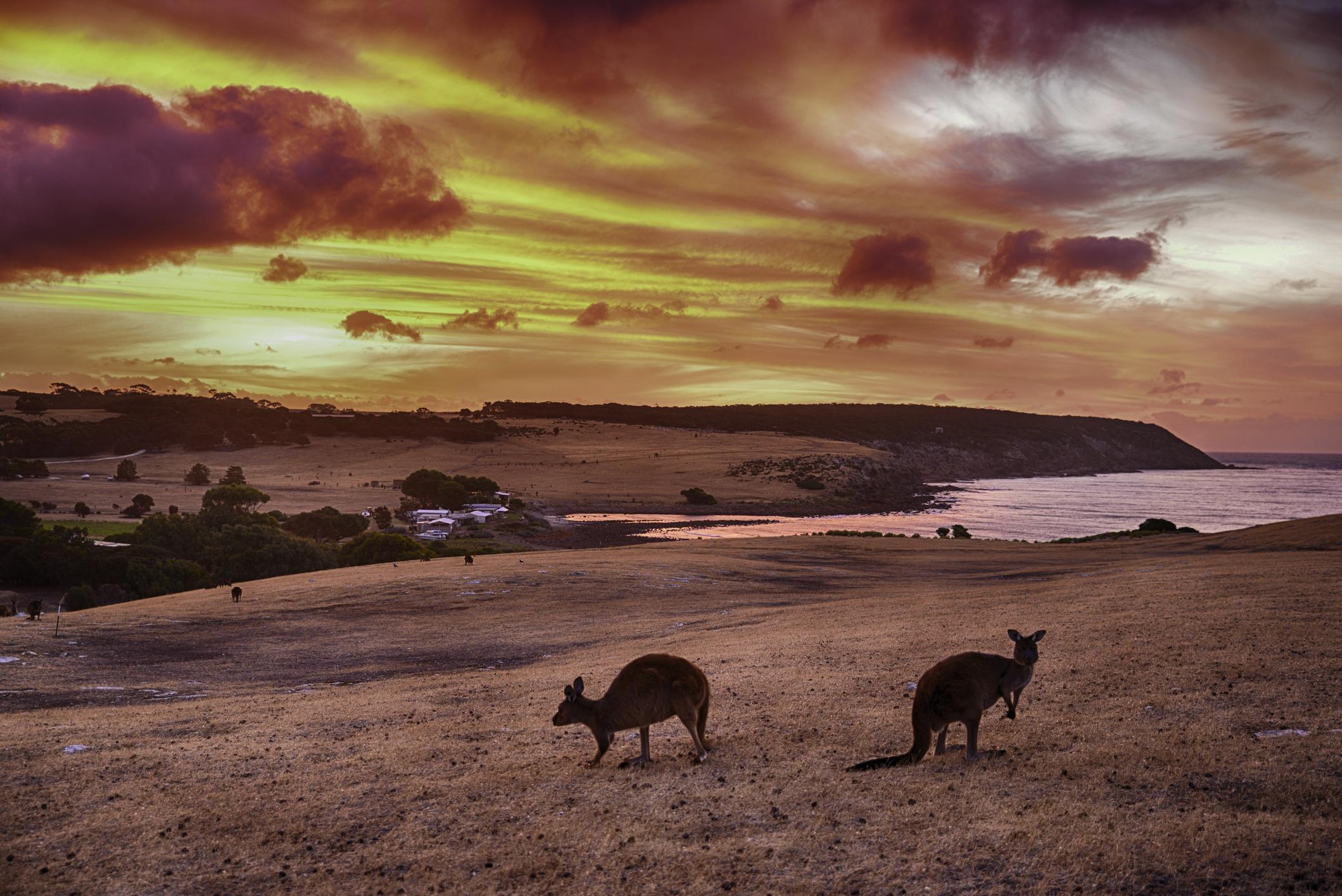 kangaroo-island-south-australia