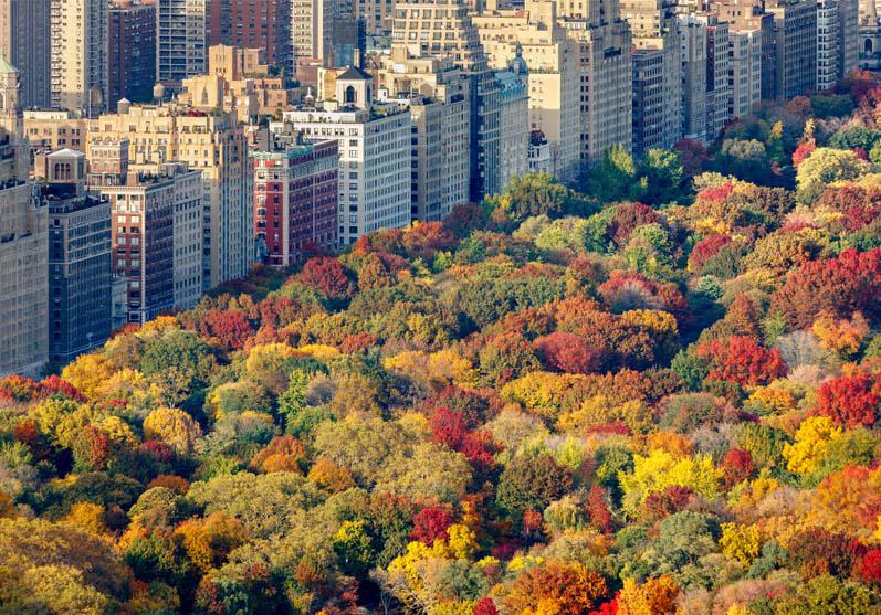 Central Park, Upper East Side