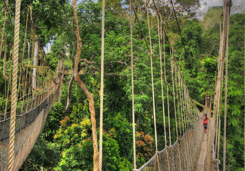 Kakum National Park