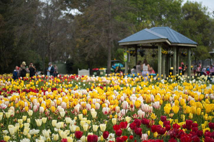 Floriade