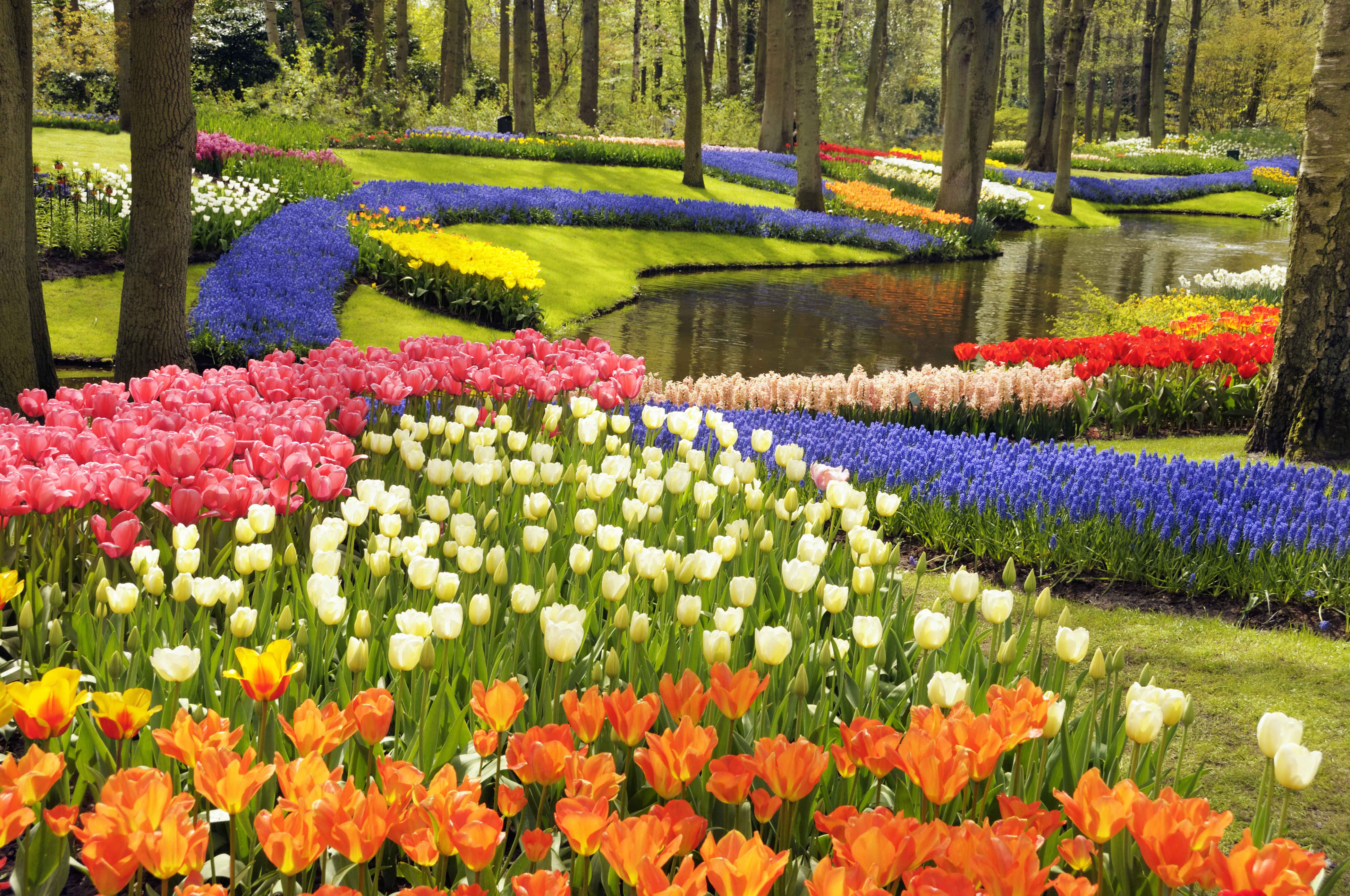 Keukenhof