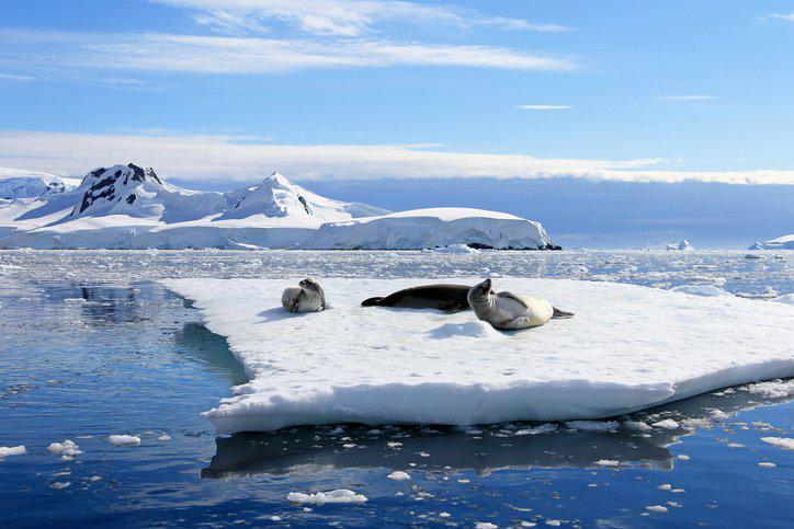 antarctica