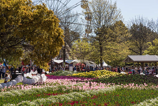 floriade-canberra