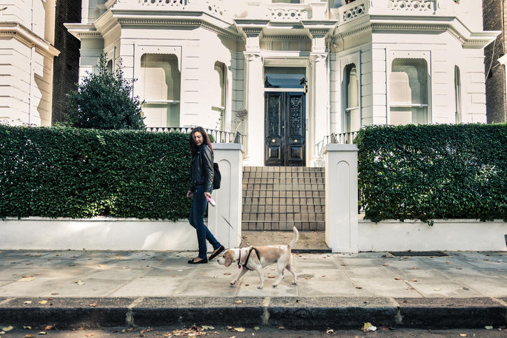 Dog outside white mansions