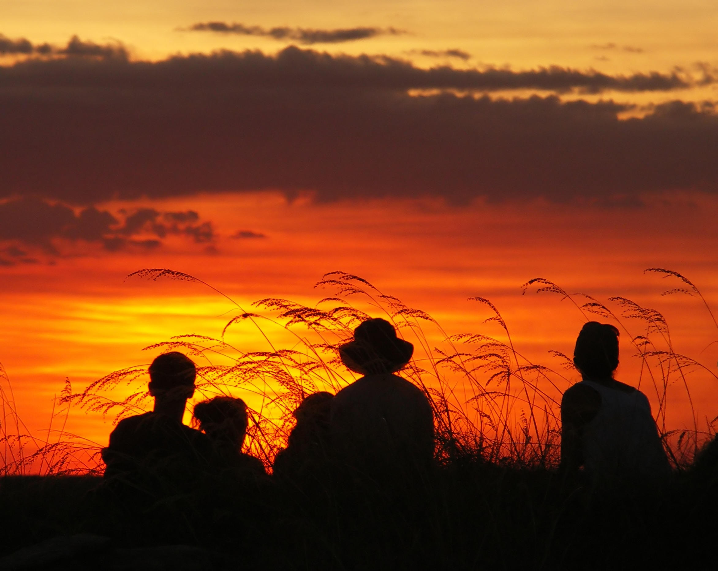 Kakadu